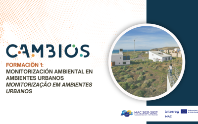 CAMBIOS celebra con éxito webinar sobre monitorización ambiental urbana